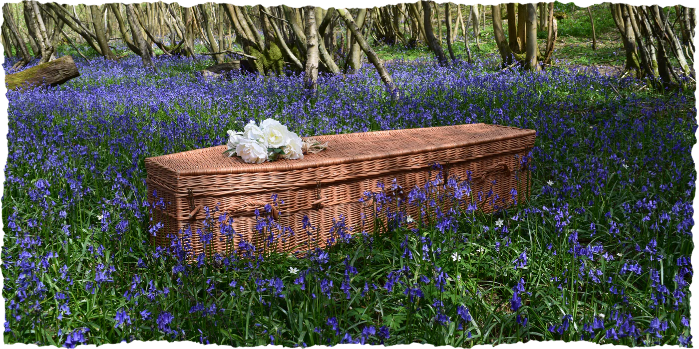 Green Natural Coffin