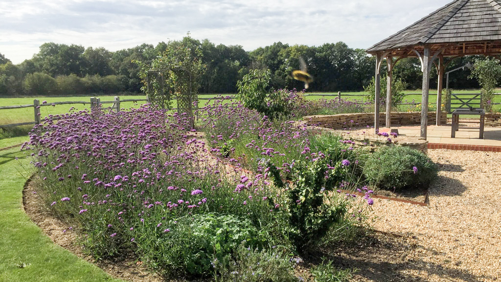 Natural Woodlands Burial Shamley Green Surrey