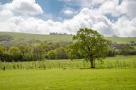 Clayton Wood Natural Burial Ground