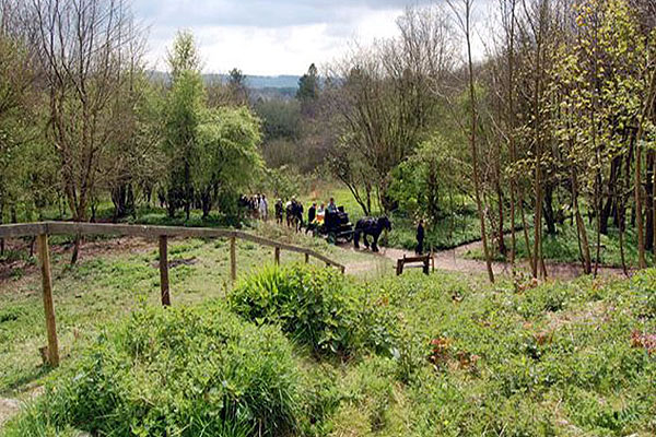 South Downs Natural Burial Ground