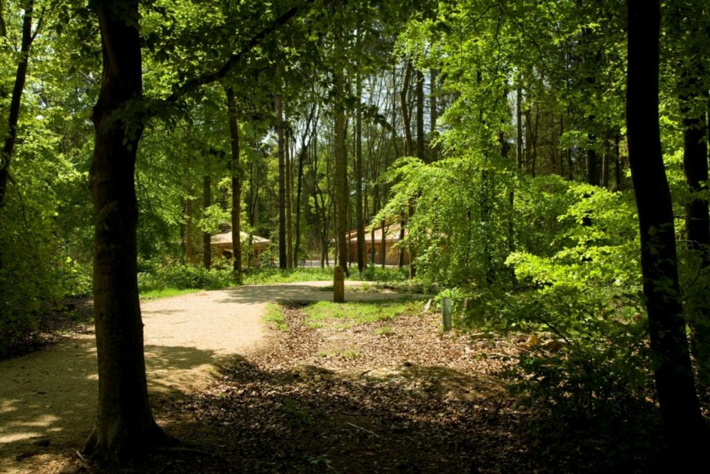 South Downs Natural Burial Ground