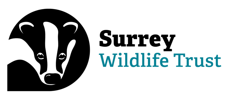 Surrey Wildlife Trust