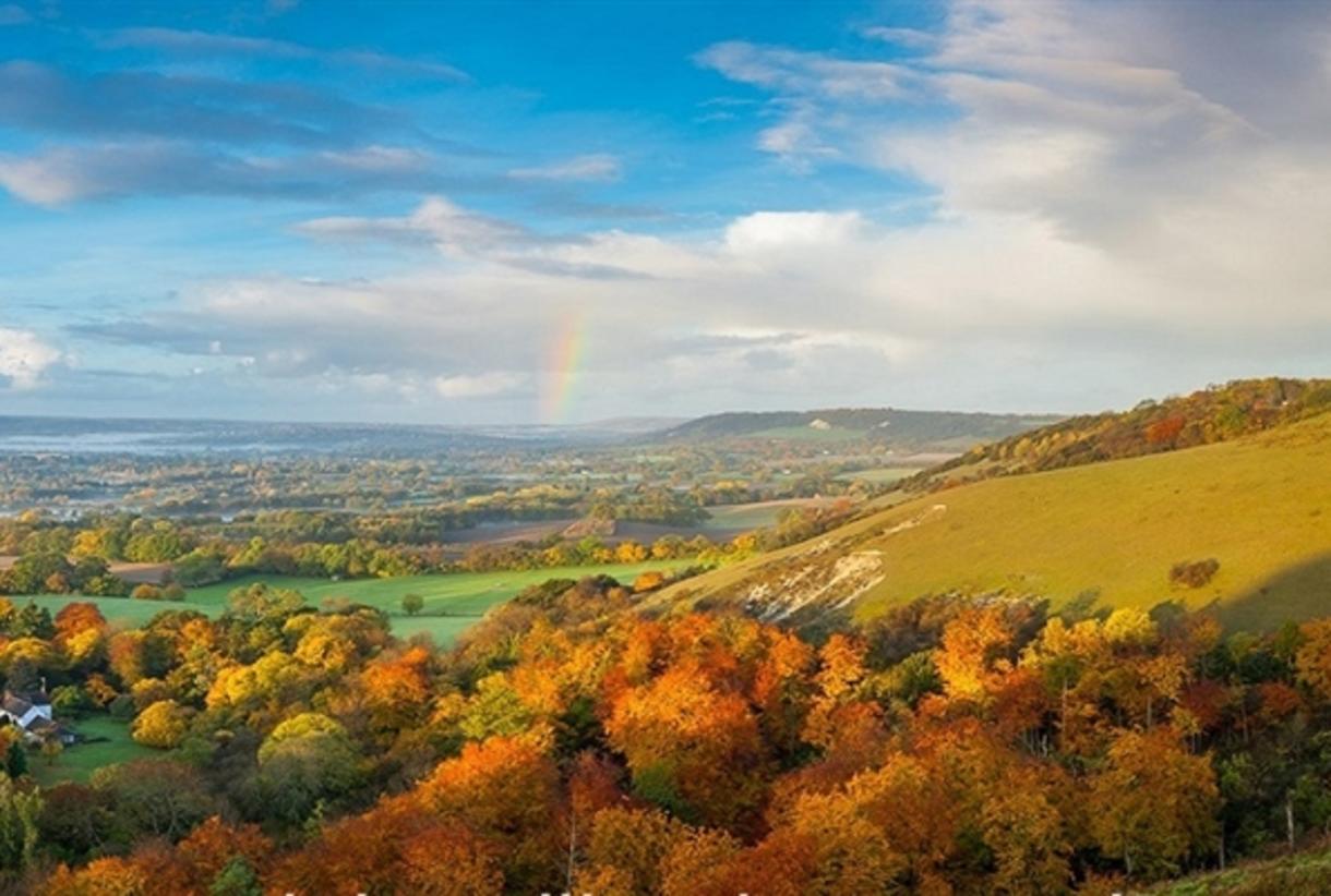 Surrey Hills Surrey Hills