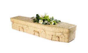 Bamboo Eco Traditional