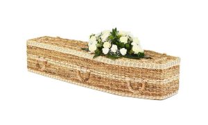 Banana Hazelfield Traditional