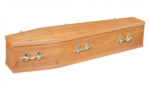 Chiltern Elm