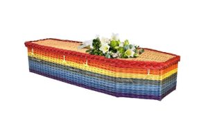 English Willow Traditional Rainbow
