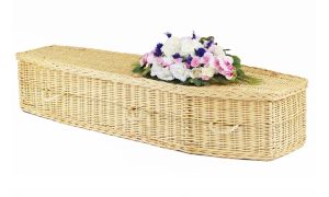 Willow Eco2 Light - Stockberry Light Traditional
