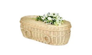 Willow Light Infant Casket